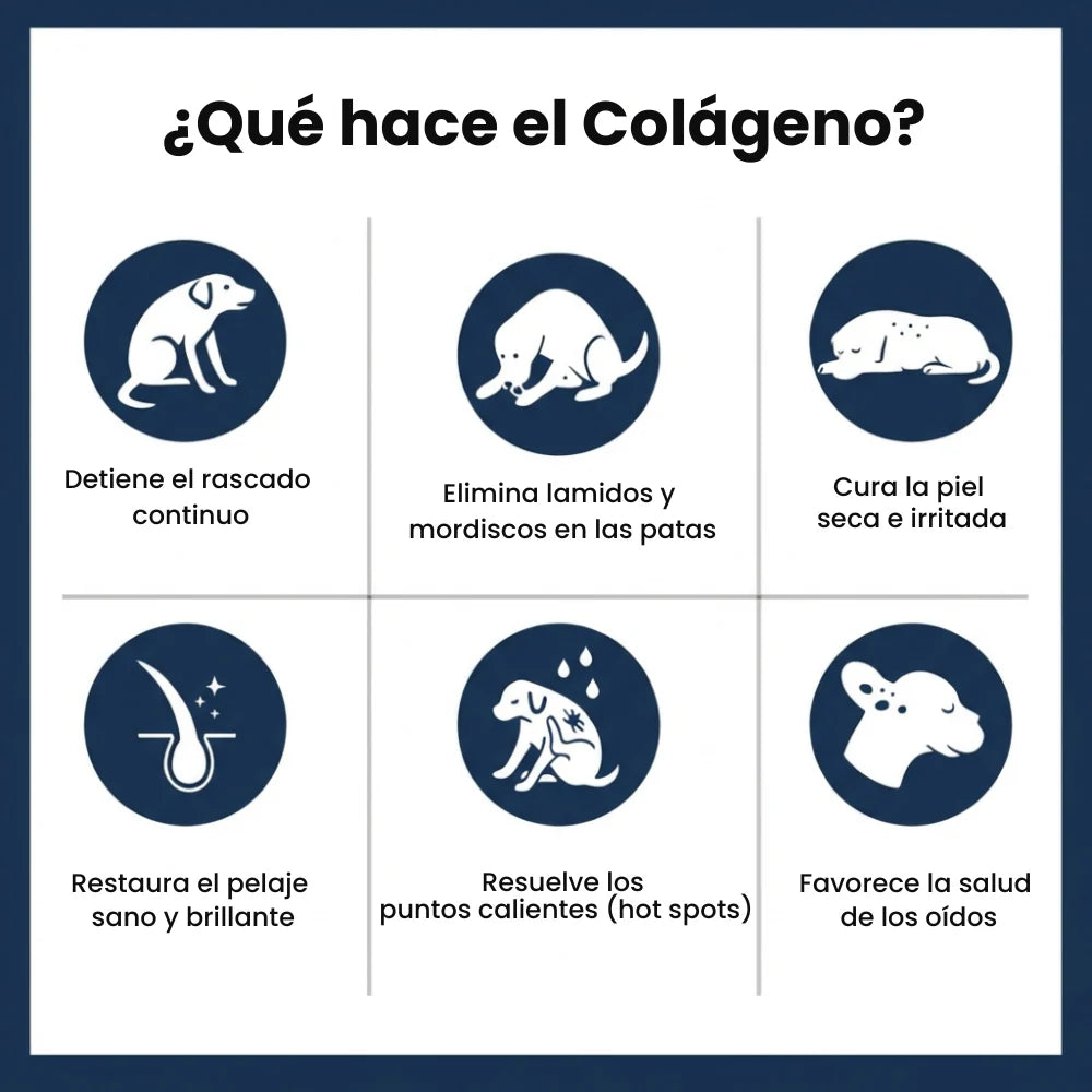 Kynora® Colágeno Líquido Premium
