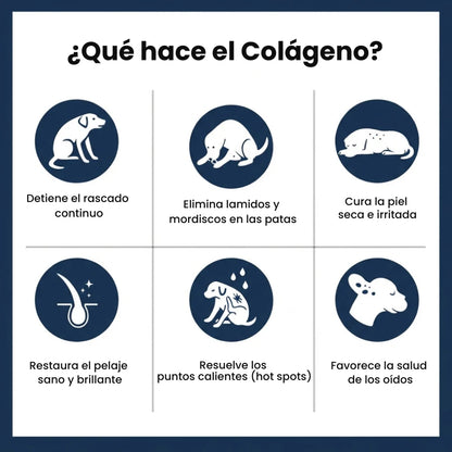 Kynora® Colágeno Líquido Premium