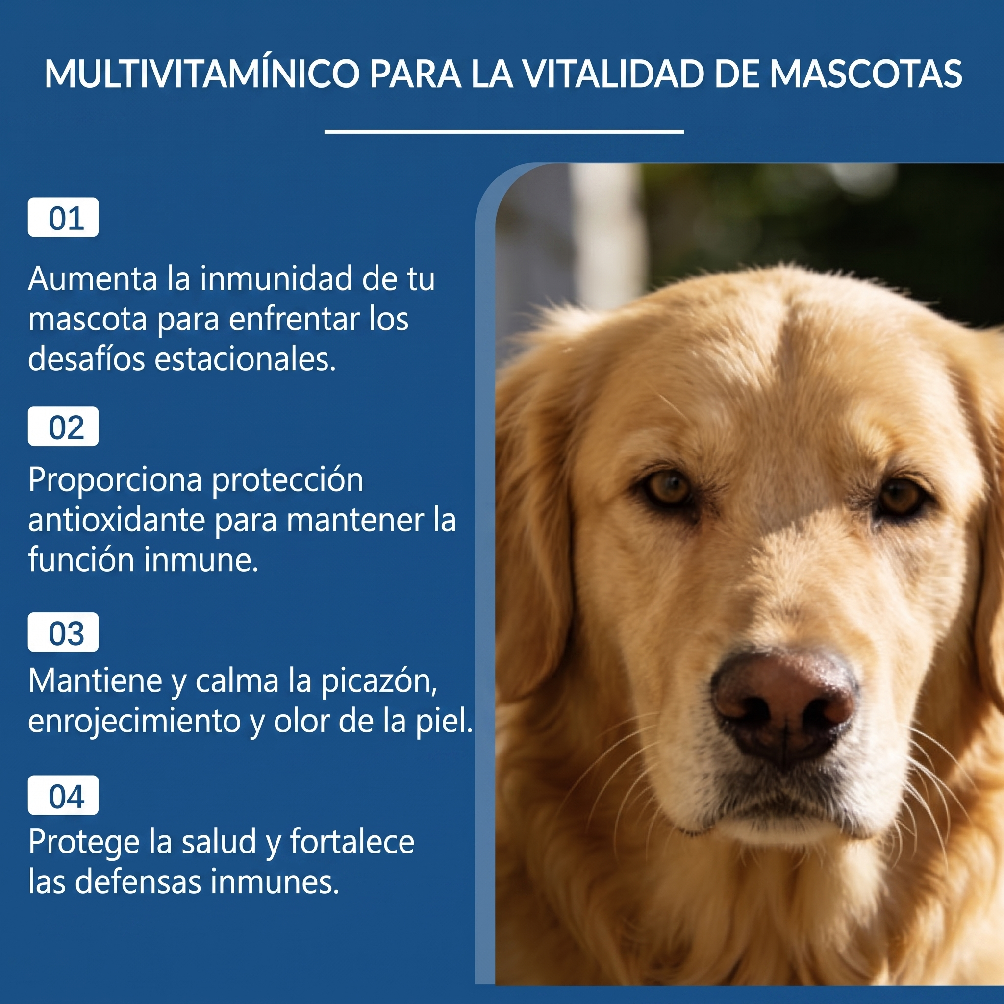 Multivitamínico para Perros Senior