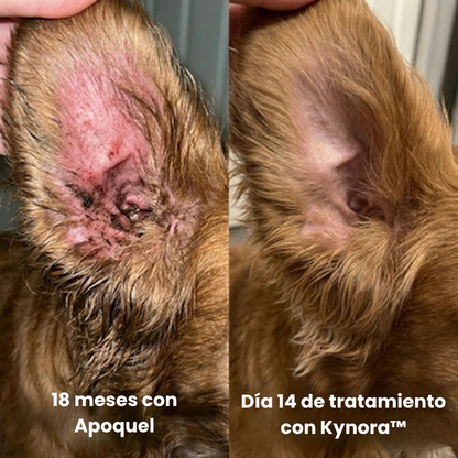 Kynora® Colágeno Líquido Premium