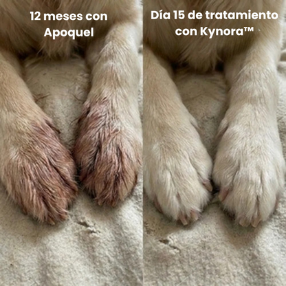 Kynora® Colágeno Líquido Premium