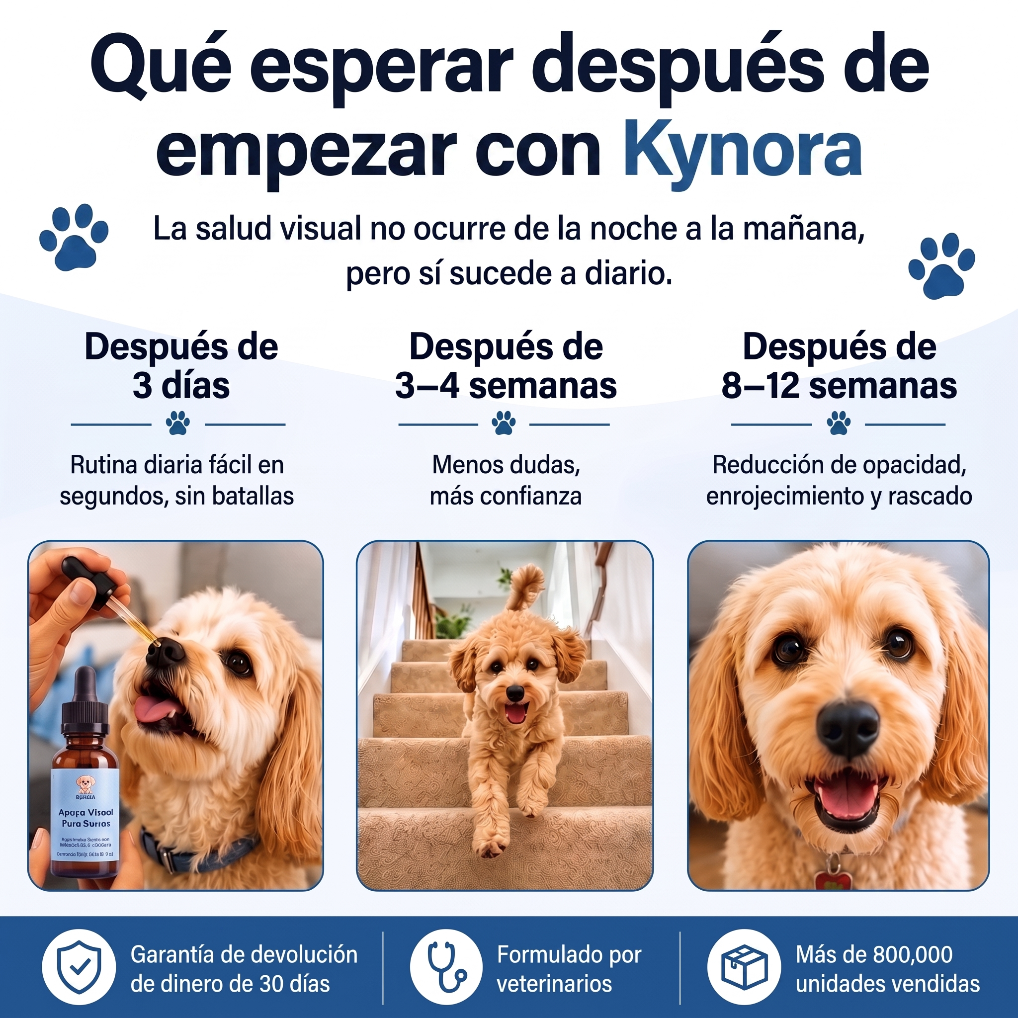 Kynora® Apoyo Visual Para Perros