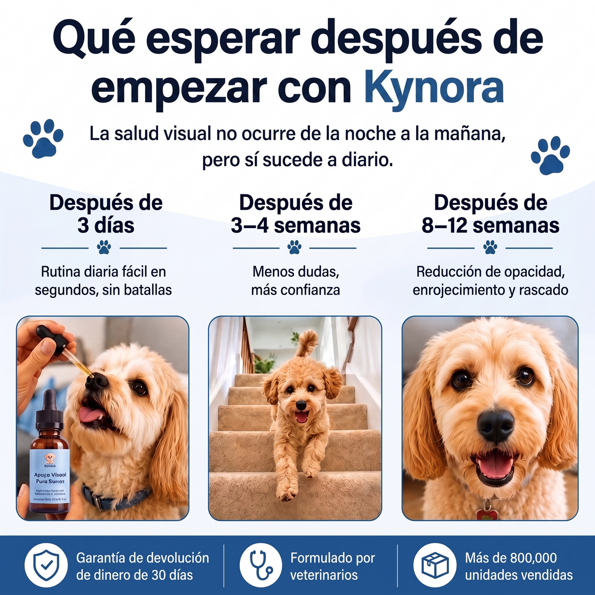 Kynora® Apoyo Visual Para Perros