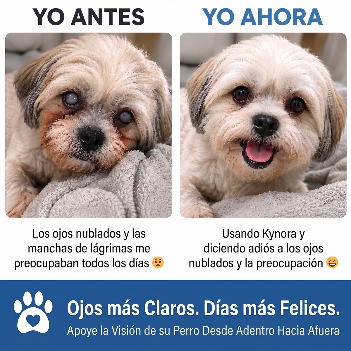 Kynora® Apoyo Visual Para Perros