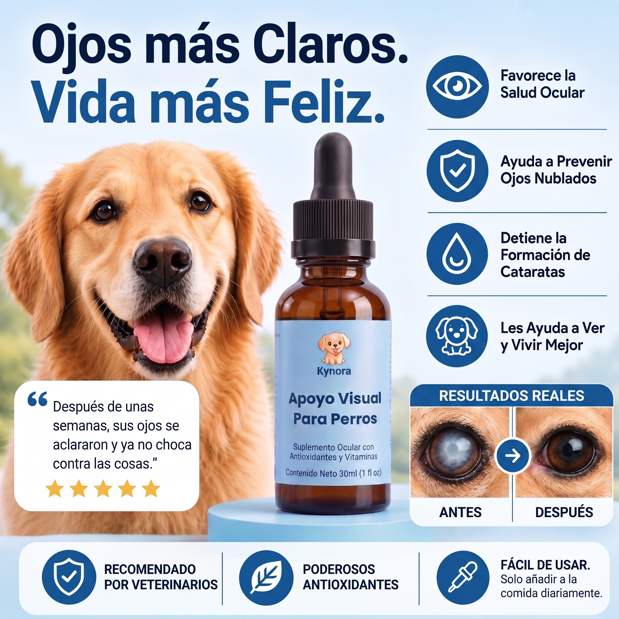 Kynora® Apoyo Visual Para Perros