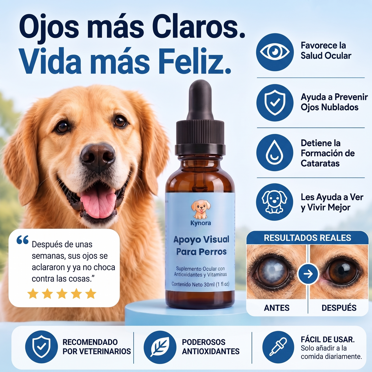 Kynora® Apoyo Visual Para Perros