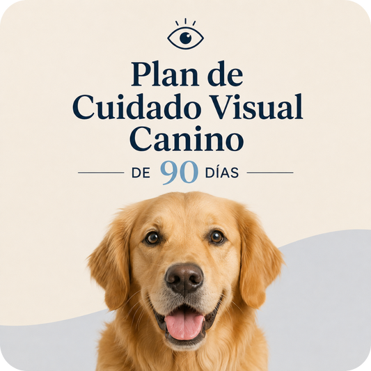 Plan de Cuidado Visual de 90 Días