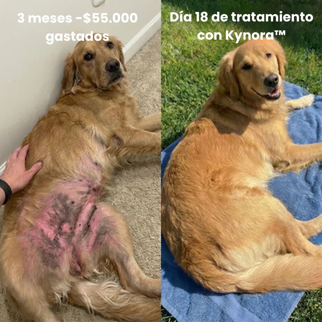 Kynora® Colágeno Líquido Premium